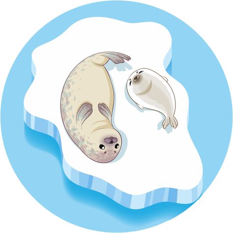 Character Design Vector, Seal Cartoon, Crab Illustration, Penguins And Polar Bears, Cute Seals, Baby Seal, Line Artwork, Graph Design, Family Cartoon