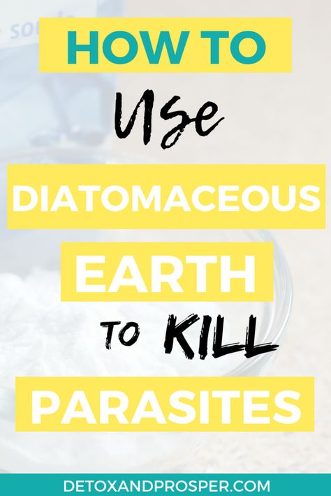 Die Off Symptoms, Earth Food, Diatomaceous Earth Food Grade, Gut Healing Recipes, Parasite Cleanse, Female Health, Diy Remedies, Natural Parenting, Holistic Remedies