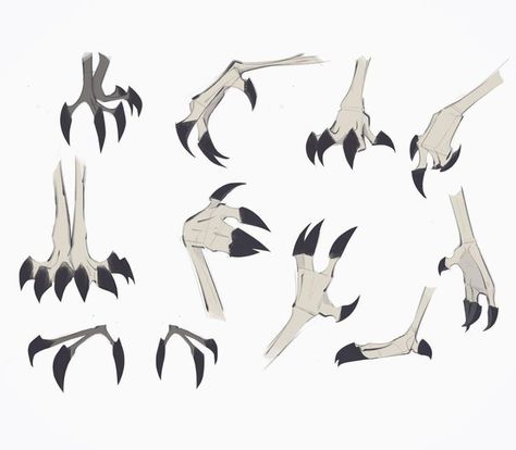 Claw Feet Drawing, Bird Claw Reference, Bird Feet Drawing Reference, How To Create A Fursona, Animal Feet Drawing, Bird Feet Reference, Bird Creature Design, Bird Feet Drawing, Monster Body Base