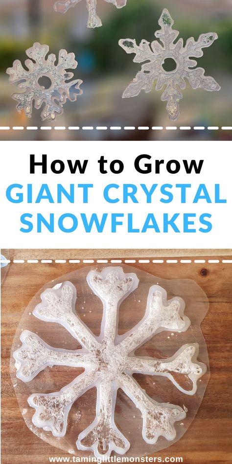 How to Grow Giant Crystal Snowflakes (Winter STEM Activity) - Taming Little Monsters Winter Stem Activities For Kids, Snowflakes Science, Stem Winter, Christmas Science Activities, Christmas Stem Activities, Winter Stem Activities, Winter Stem, Winter Science Activities, Christmas Science Experiments