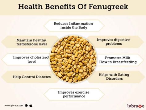 Fenugreek Tea Benefits, Fenugreek For Breast Growth, Fibroid Shrinking, Calories Chart, Benefits Of Fenugreek, Fenugreek Tea, Fenugreek Benefits, Fenugreek Oil, Home Remedies For Bronchitis