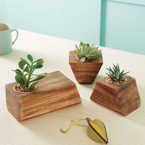 Succulent Holder, Wood Succulent Planter, Wooden Plant Pots, Support Plante, Into The Wood, Scrap Wood Projects, Wood Candle Holders, Wooden Planters, Wood Planters