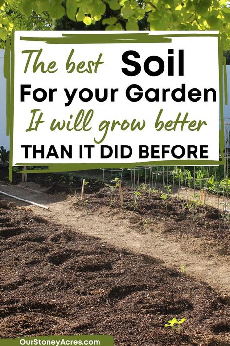 What is the best vegetable garden soil? In this article, I am going to teach you about the 3 main components of garden soil and what the best vegetable garden soil is. You will learn how to improve your garden soil and what is the best garden soil for raised beds. Find even more garden ideas, gardening tips and gardening hacks. Prepare Soil For Vegetable Garden, Soil For Vegetable Garden, Raised Garden Bed Soil, Garden Soil Preparation, Garden Soil Mix, Vegetable Garden Soil, Vegetable Garden Tips, Medicinal Garden, Backyard Vegetable Gardens