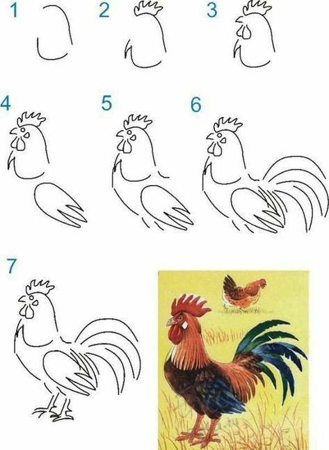 Beginner Drawing Lessons, Chicken Drawing, Therapy Exercises, Easy Drawing Steps, Drawing Lessons For Kids, Easy Drawings For Beginners, Chicken Crafts, Easy Drawing Tutorial, Drawing Tutorials For Kids