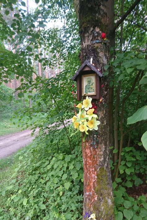 The Layered Meanings of Poland’s Wayside Shrines | Smithsonian Folklife Outdoor Shrines And Altars Ideas, Our Lady Of Czestochowa Poland, Outdoor Prayer Space, Outdoor Shrine, Garden Shrine, Folk Catholicism, Wayside Shrine, Marian Garden, Shrines Art