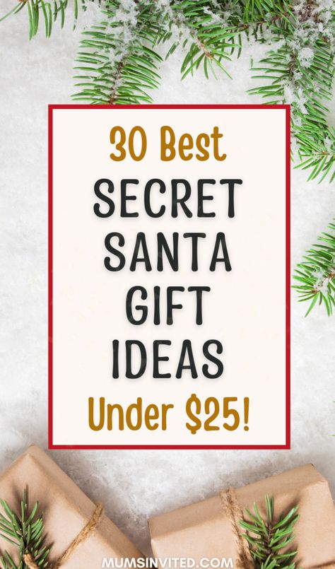 Discover amazing cheap Secret Santa gift ideas that won't break the bank! Perfect for co-workers, friends & family. These budget-friendly options under $25 include fun DIY projects, unique finds from Dollar Tree & small gifts from Amazon. Whether you’re shopping for guys, girls, adults, kids, or teachers, there are inexpensive & creative options that feel special without the high price tag. Make your 2024 Christmas gift exchange memorable with affordable, easy & cute gifts everyone will enjoy! Teacher Secret Santa Ideas Diy Gifts, Cheap Christmas Presents, 10 Dollar Gifts, Cheap Presents, Budget Friendly Christmas Gifts, Gifts From Amazon, Secret Santa Gift Ideas, Small Gifts For Friends, Christmas Presents For Friends