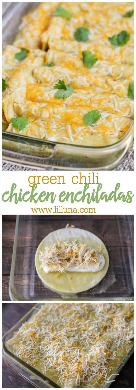 Chili Chicken Enchiladas, Green Chili Chicken Enchiladas, Green Chile Enchilada Sauce, Green Chile Enchiladas, Chicken Enchiladas Recipe, Green Chile Chicken Enchiladas, Green Chili Chicken, Green Chile Chicken, Chicken Enchiladas Easy