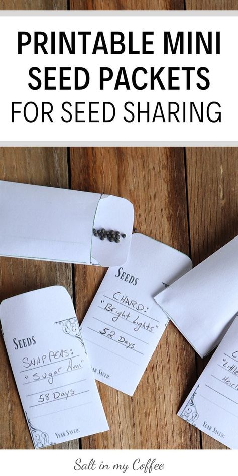 These mini printable seed packets are just the right size for sharing seeds! via @saltinmycoffee Diy Seed Storage, Seed Packet Printable, Printable Seed Packets Templates, Seed Packets Diy, Seed Storage Ideas, Selling Seeds, Printable Seed Packets, Diy Seed Packets, Seed Packet Template