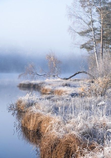 Frost Landscape, Misty Lake, Bright Morning, Snow Lake, Snowy Field, Snow Water, Winter Lake, Snow Forest, Western Landscape