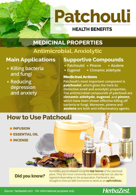 Patchouli Plant Uses, How To Grow Patchouli, Patchouli Spiritual Benefits, Patchouli Oil Benefits, Patchouli Benefits, Patchouli Essential Oil Benefits, Patchouli Plant, Patchouli Incense, Patchouli Knowledge