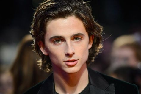 Men, How to Grow Out Your Hair With Minimum Awkwardness | Dapper Confidential Growing Out Hair Men, Hair Stages, Growing Out Hair, Growing Your Hair Out, Weight Reduction, Timothee Chalamet, What Happens When You, Grow Out, Boy Hairstyles