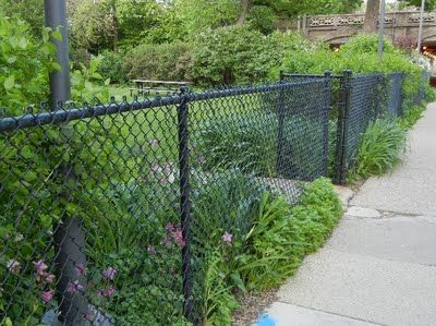 Chain-Link Trellis: Beautify a Chain-Link Fence: Paint It Black, Or Partly Dismantle It Painted Chain Link Fence, Chain Link Fence Cover, Garden Fence Paint, Black Chain Link Fence, Carport Makeover, Chain Link Fence Gate, Paint It Black, Privacy Fence Designs, Garden Ideas Cheap