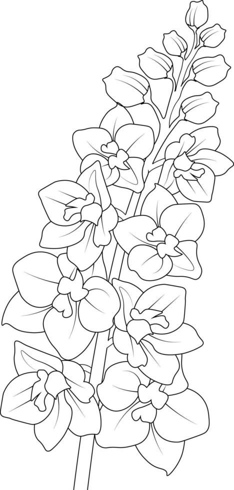 Delphinium flower line art, vector illustration, hand-drawn pencil sketch, coloring book, and page, isolated on white background clip art. Delphinium Flower Illustration, How To Draw Delphinium, Flower Pencil Drawings Sketches, Big Flower Drawing Simple, Flower Arrangements Drawing, Flowers Vector Illustration, Garden Flowers Drawing, Flower Drawings Pencil, Delphinium Flower Drawing