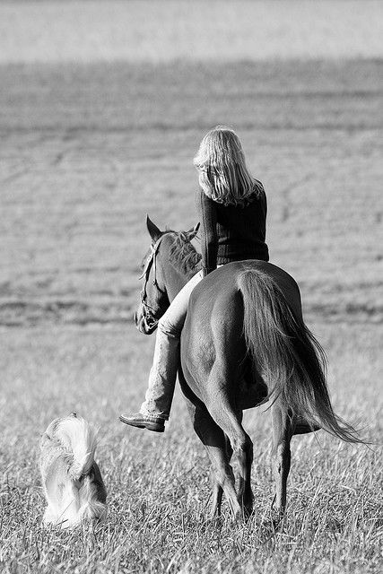 All a girl needs is her horse and dog.... RIP Cowboy you were the best trail partner there ever was & we will one day ride again together! Wilde Westen, Cowgirl And Horse, Horses And Dogs, Horse Quotes, Horse Crazy, Girl Needs, Horse Life, Horse Photos, Pretty Horses