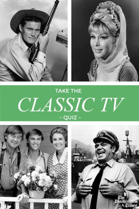 Old Tv Shows 1960s Tv Series, Pictures From The 60s, That 70s Show Characters, Tv Show Quizzes, 1960s Television, Classic Tv Shows, Friends Trivia, Best Buzzfeed Quizzes, 60s Tv Shows