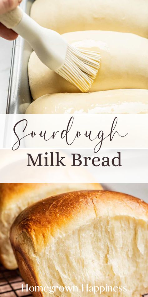 The perfect loaf for any occasion—our Sourdough Milk Bread blends the tang of sourdough with the softness of milk bread for a match made in heaven. Hokkaido Milk Bread, The Perfect Loaf, Buttermilk Bread, Milk Bread Recipe, Japanese Milk Bread, Sourdough Bread Sandwiches, Sourdough Sandwich, Brunch Bread, Sourdough Starter Recipe