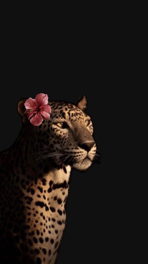 #Leo #Blumen متحف فني, Leopard Print Wallpaper, Cheetah Print Wallpaper, Beautiful Friendship, Iphone Wallpaper Classy, Animal Portraits Art, Wallpaper Tumblr, Into The Water, Cute Wallpaper For Phone