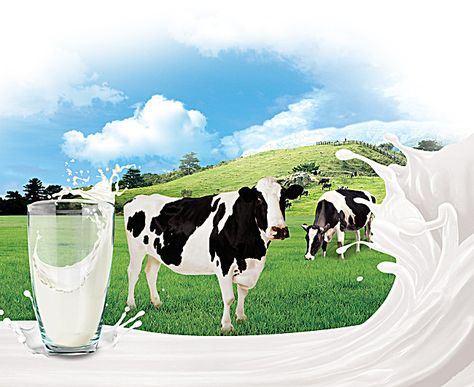 Star Light Stars Nature background Dairy Products Packaging Design, Milk Advertising, Milk Photography, Milk Delivery, Cow Logo, Funny Face Photo, Wedding Background Images, Milk Packaging, Milk Splash