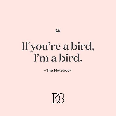 If You Are A Bird Im A Bird The Notebook, The Notebook If You're A Bird I'm A Bird, The Notebook Quotes The Best Love, If Your A Bird Im A Bird, If You’re A Bird I’m A Bird, Cute Movie Quotes Love, If You're A Bird I'm A Bird, Notebook With Quotes, Im The Best Quotes