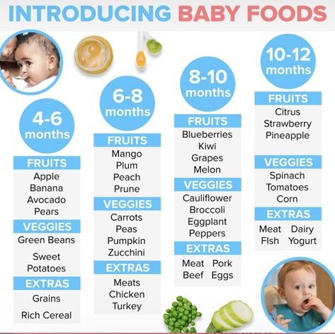 Baby Food Timeline, Introducing Baby Food, Baby Weaning Foods, Baby Food Guide, Baby Food Schedule, Easy Homemade Baby Food, Baby Led Weaning First Foods, Baby Solid Food, Diy Baby Food