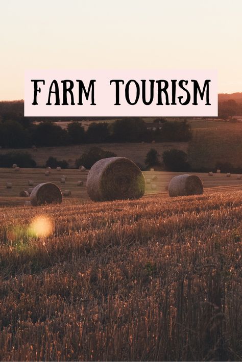 Agrotourism Ideas Farms, Agritourism Ideas Farms, Agribusiness Ideas, Agritourism Ideas, Agri Tourism, Agritourism Farms, Farm Tourism, Farm Vacation, Farm Marketing