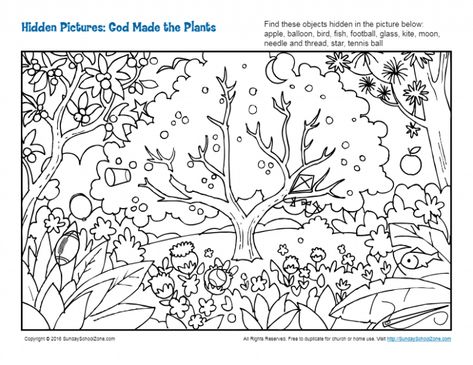 God Made the Plants Hidden Pictures - Children's Bible Activities | Sunday School Activities for Kids Sunday School Activities For Kids, School Activities For Kids, Hidden Pictures Printables, Childrens Bible Activities, Printable Bible Activities, Hidden Picture Puzzles, Music Camp, Children's Church Crafts, Bible Activities For Kids