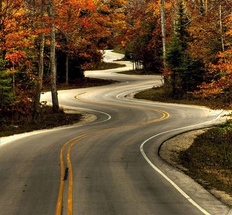 the road that goes to Washington Island Wisconsin. Washington Island, End Of The Road, Beautiful Roads, Motorcycle Travel, Winding Road, Door County, On The Road Again, Open Road, Your Eyes