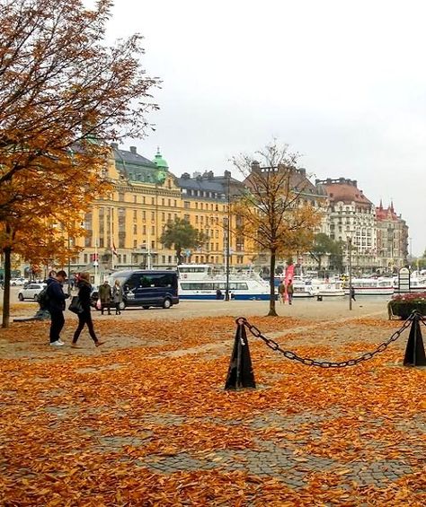 Autumn is a beautiful season in Stockholm, Sweden                              … Stockholm In Autumn, Stockholm Autumn, Scandinavian Autumn, Sweden Autumn, Fall Or Autumn, Stockholm Syndrome, Sweden Travel, Seasons Winter, Warm Home