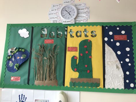 Habitats primary year 2 display science Science Display, Habitats Projects, Classroom Boards, Teaching Themes, Class Displays, Animal Family, Display Boards, Board Decoration, Animal Habitats