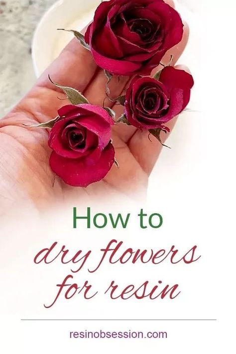 Learn easy way how to dry flowers for your next resin project. Simple steps plus the pro tips to having beautiful flowers for epoxy. How To Dry Roses Diy, How To Put Flowers In Resin, Best Way To Preserve Flowers, How To Dry Flowers For Resin, Epoxy Resin Flowers, Dry Flowers For Resin, How To Dry Flowers, How To Make Resin, Drying Roses