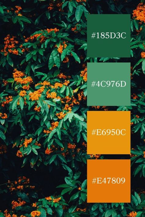 Forest Green Color Palette, Color Scheme Generator, Idea Generation, Green Color Palette, Color Palette Yellow, Forest Green Color, Orange Paint, Green Colour Palette, Palette Color