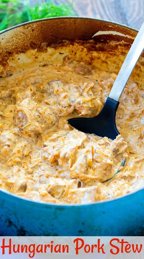 Easy Chicken Leg Recipes, Paprikash Chicken, Chicken Paprikash Soup, Paprikash Soup, Dinner Ideas Easy Chicken, Dinner Recipes Air Fryer, Dumplings Chicken, Paprikash Recipe, Meatballs Chicken