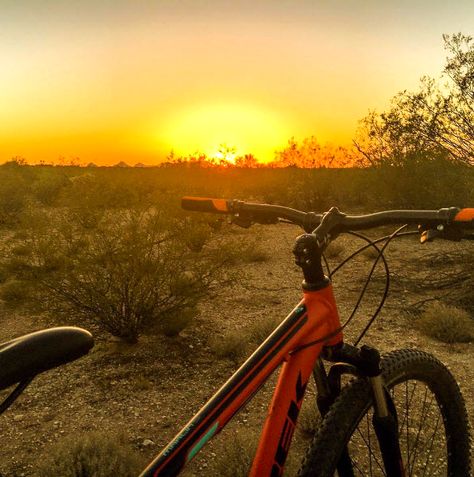 Sunset | Tucson | Arizona | Biking | Cycling | Things To Do | Outdoor Adventure | Photo via Instagram by aaronthomasdeininger | Road Cycling Photography, Desert Tattoo, Cycle Photo, Bicycle Photography, Winter Training, Cycling Photography, Adventure Photos, Road Race, Cycling Photos