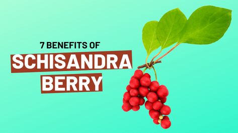 Schisandra Berry Benefits, Schizandra Benefits, Schisandra Benefits, Amla Juice Benefits, Improve Liver Function, Nutrition Notes, Amla Juice, Cleanse The Liver, Benefits Of Berries