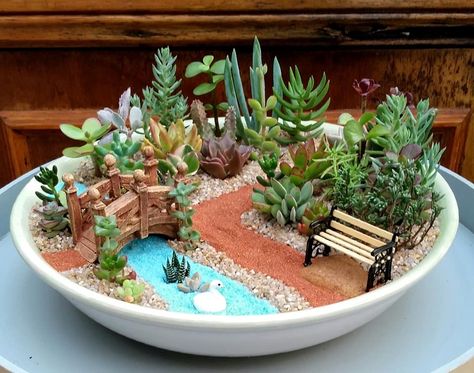 Cactus Garden Pot, Mini Cactus Garden Cacti And Succulents, Miniature Succulent Garden, Decoracion Suculentas Ideas, Miniature Gardens Design Ideas, Miniature Garden Ideas, Mini Garden Ideas, Jardin Zen Miniature, Succulent Fairy Garden