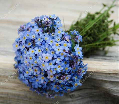 Birthday Flowers Arrangements, Forget Me Nots Flowers, Forget Me Not Flowers, Forget Me Not Flower, Blue Bouquet, Forget Me Nots, Flowers Arrangements, Spring Blooms, Little Flowers