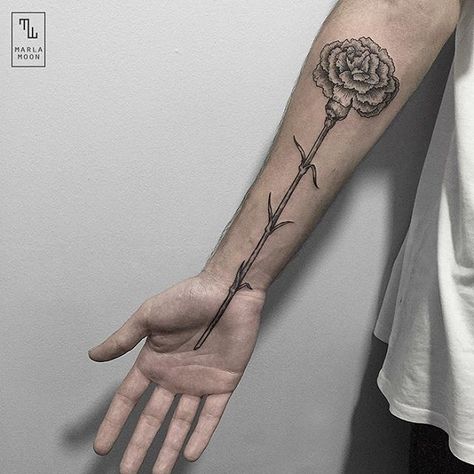 Clavel para Antonio, gracias :) #linework #carnation #blacktattooart #blacktattoomag #blackworkerssubmission #inkstinctsubmission Carnation Flower Tattoo, Men Flower Tattoo, Carnation Tattoo, Black And White Tattoo, Literary Tattoos, White Tattoos, Triangle Tattoos, Birth Flower Tattoos, Geometric Tattoos