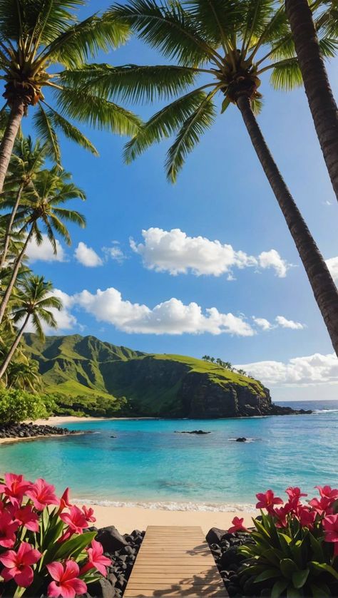 Hawaii Landscape Wallpaper, Beautiful Islands Paradise, Cute Hawaii Pictures, Aloha Aesthetic, Hawaii Beach Aesthetic, Hawaii Background, Hawaiian Wallpaper, Summer In Hawaii, Best Beach Vacations