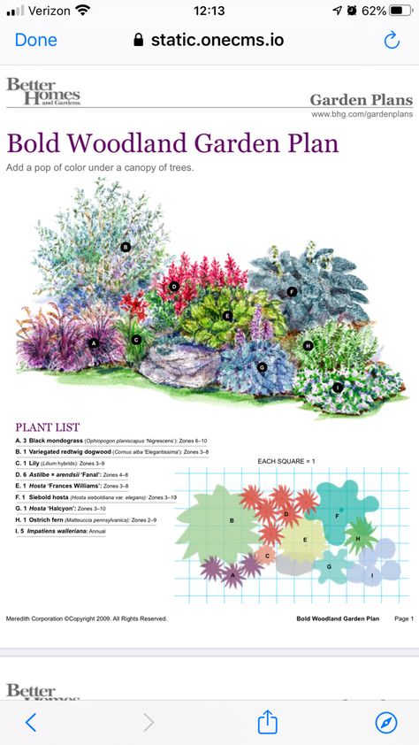 Part Shade Perennial Garden Plan, Bhg Garden Plans, Shade Garden Design Layout, Perrenial Gardens Layout Front Yards, Flower Garden Layouts, Perennial Garden Plans, Flower Garden Plans, Shade Garden Plants, Flower Bed Designs