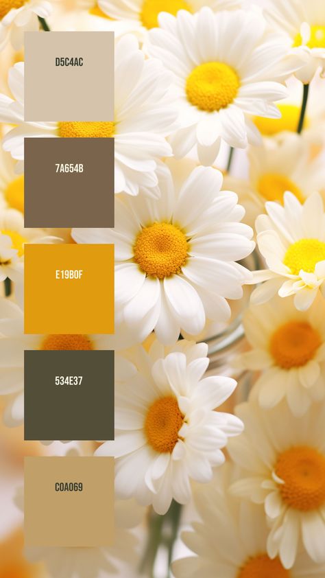 Colors:
D5C4AC
7A654B
E19B0F
534E37
C0A069 Light Yellow Colour Palette, Colour Palette Yellow, Colour Reference, Shasta Daisies, Flower Displays, Dandelion Yellow, Fill The Frame, Color Palette Yellow, Spring Color Palette