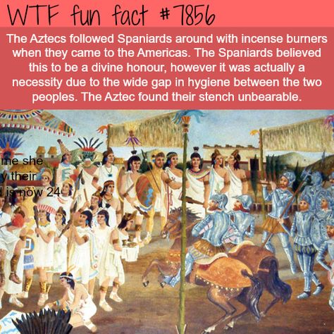 Weird History Facts, Mexican History, New Facts, The Aztecs, History Facts Interesting, Funny Random, Unbelievable Facts, Mystery Of History, History Humor