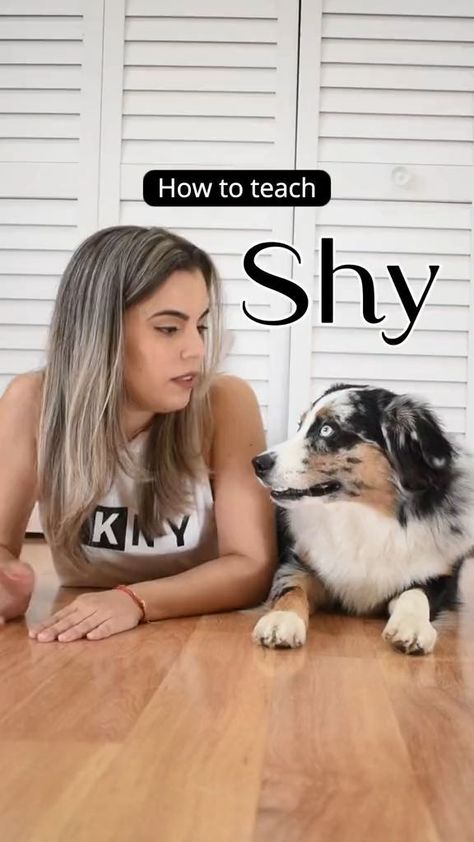 Dog Training Aesthetic, Cool Dog Tricks, Training Aesthetic, Dog Tricks Easy, Teach Dog Tricks, Aesthetic Dog, Dog Training Treats, Dog Games, Dog Training Advice