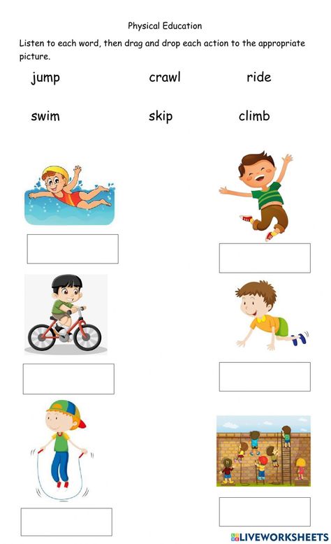 Action Worksheets For Kindergarten, Ed Verbs Worksheet, Evs Worksheet For Class 1 Air, Action Words Worksheet For Grade 1, Pe Worksheets, Action Verbs Worksheet For Grade 1, Action Linking And Helping Verbs Worksheet, Action Verbs Worksheet, Verbs Worksheet