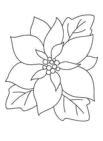 How To Draw A Poinsettia Step By Step, How To Draw A Poinsettia, Pointsetta Plant Drawing, Christmas Flower Drawing, Poinsettia Flower Drawing, Poinsettia Drawing, Poinsettia Clipart, Free Christmas Coloring Sheets, Mexico Christmas