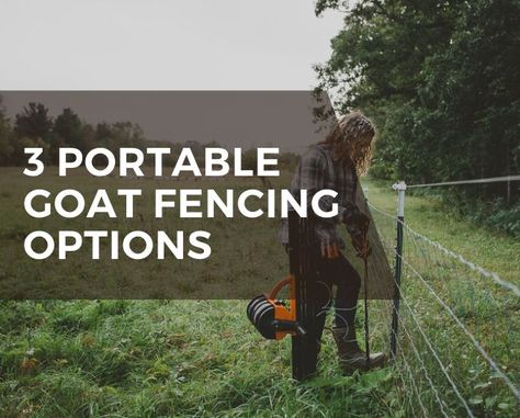 Three portable goat fencing options - Grazing with Leslie Moveable Goat Fence, Portable Goat Pen, Goat Fencing, Homesteading Hacks, Goat Fence, Plastic Fencing, Portable Fence, Fencing Options, Goat Pen