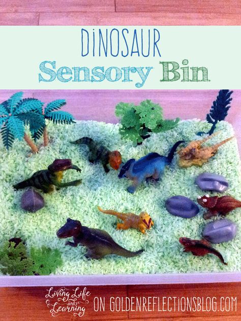 Dinosaur Sensory Bin, D Is For Dinosaur, Dinosaur Sensory, Sensory Bin Play, Sensory Play Ideas, Sensory Tubs, Play For Kids, Dinosaurs Preschool, Sensory Boxes