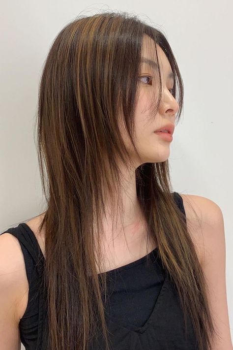 Korean Hair Color 2023, Wolf Layers Haircut, Straight Hush Cut, Long Shag Cut Straight Hair, Wolf Cut Hair Long Straight, Long Wolf Cut Straight Hair, Hush Layered Cut, Long Hush Haircut, Hush Cut Straight Hair