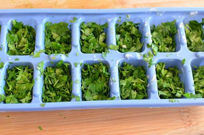 Freeze Parsley, Freezing Parsley, Freeze Buttermilk, How To Freeze Herbs, Freeze Herbs, Propagate Basil, Preserve Herbs, Preserving Basil, Freezer Ideas