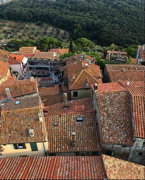 #italy #summer #houses #roof #europe #aesthetic Luca Guadagnino, Summer Houses, Europe Aesthetic, Dream Summer, Italy Summer, Italian Home, House Roof, Italian Summer, Summer Aesthetic