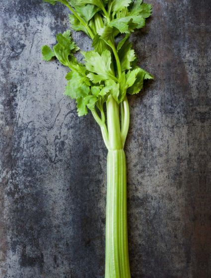 How to grow celery: Celery is a nutritious marshland plant that is related to the Apiaceae family, which has been cultivated as a vegetable since antiquity. Like me, you should like it because it is incredibly useful. This is a great vegetable to add to your farm, so learn how to grow celery ahead. Its stalks, leaves, or hypocotyl are eaten and used in cooking and as salads and stir-fries, of course – it’s also the starting point to soups, many... How To Store Celery, How To Grow Celery, Grow Celery, Edible Stem, Celery Leaves, Growing Celery, Low Calorie Vegetables, Fruit And Veggie, Beet Greens